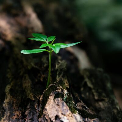 Spiritual Warfare Prayer For Spiritual Growth