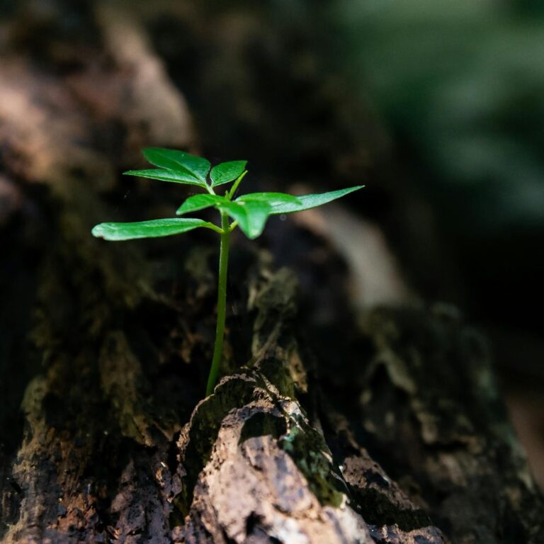 Spiritual Warfare Prayer For Spiritual Growth