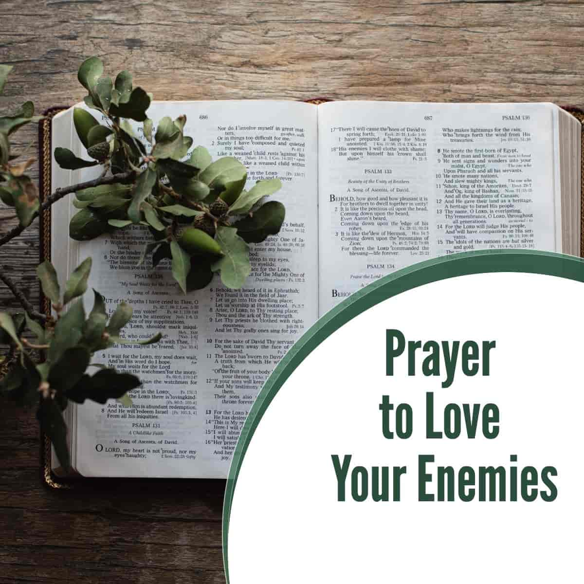 Prayer to Love Your Enemies