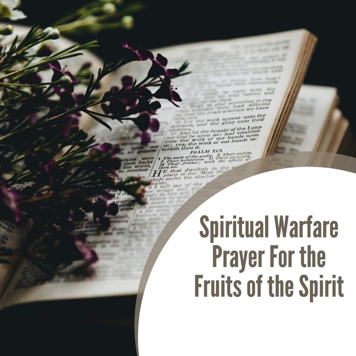 Spiritual Warfare Prayer For the Fruits of the Spirit