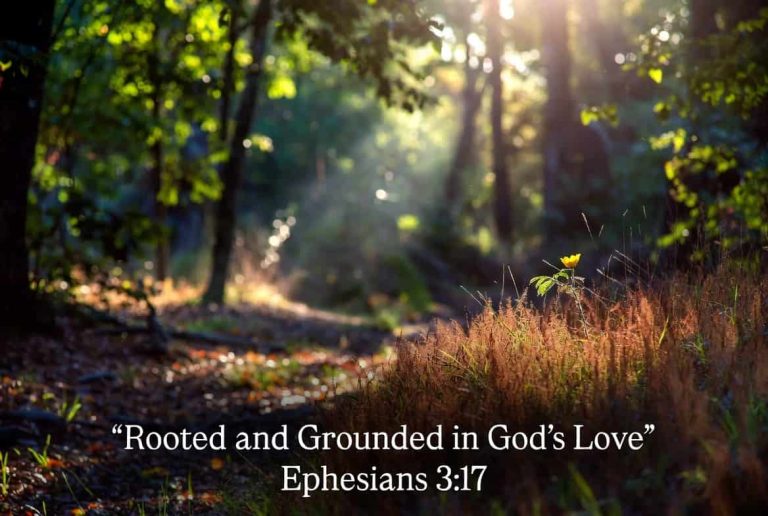 Daily Prayer For Today - Rooted and Grounded in God’s Love