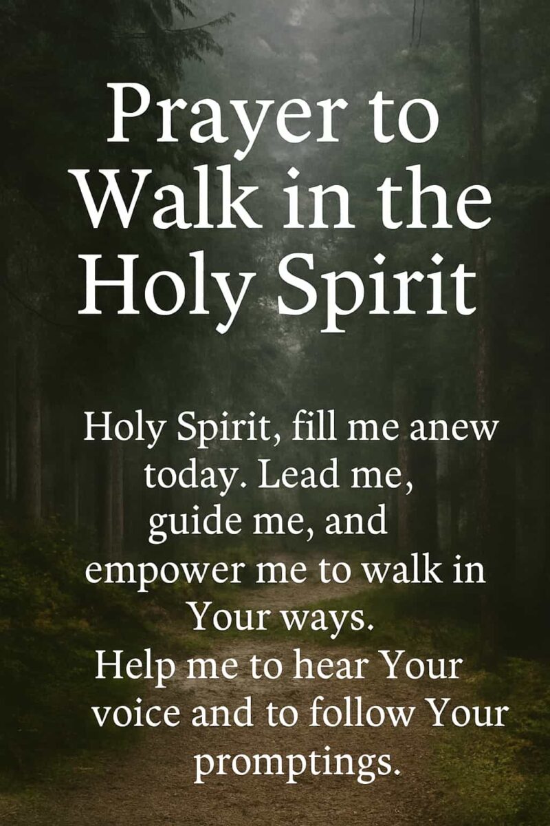 Prayer To Walk In The Holy Spirit